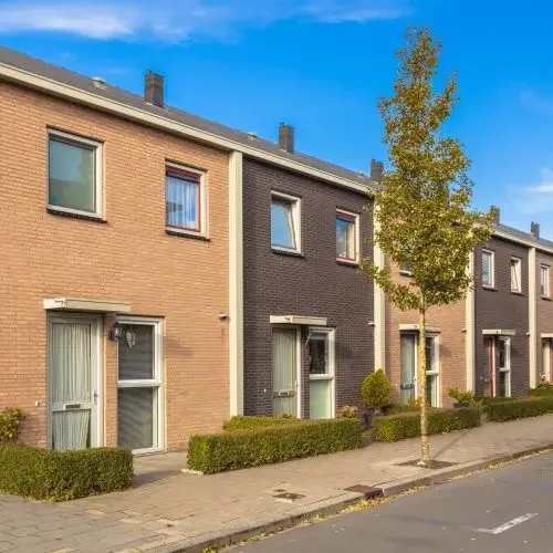 shutterstock_172256453-scaled-qr8tg3z594nebim5kmb6x3g580orfeyvx89coe8u4o