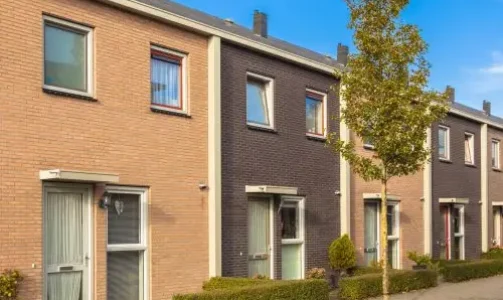 shutterstock_172256453-scaled-qr8tg3z594nebim5kmb6x3g580orfeyvx89coe8u4o